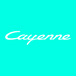 Sticker Porsche Cayenne Logo en pochoir pour peinture