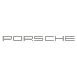 Sticker Porsche 911 Carrera GT en gris clair