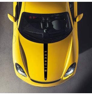 Porsche 718 Cayman /...