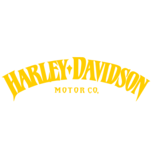 Sticker Moto Harley-Davidson Iron 883 Logo en jaune